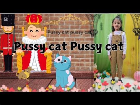 pussy videos|pussy